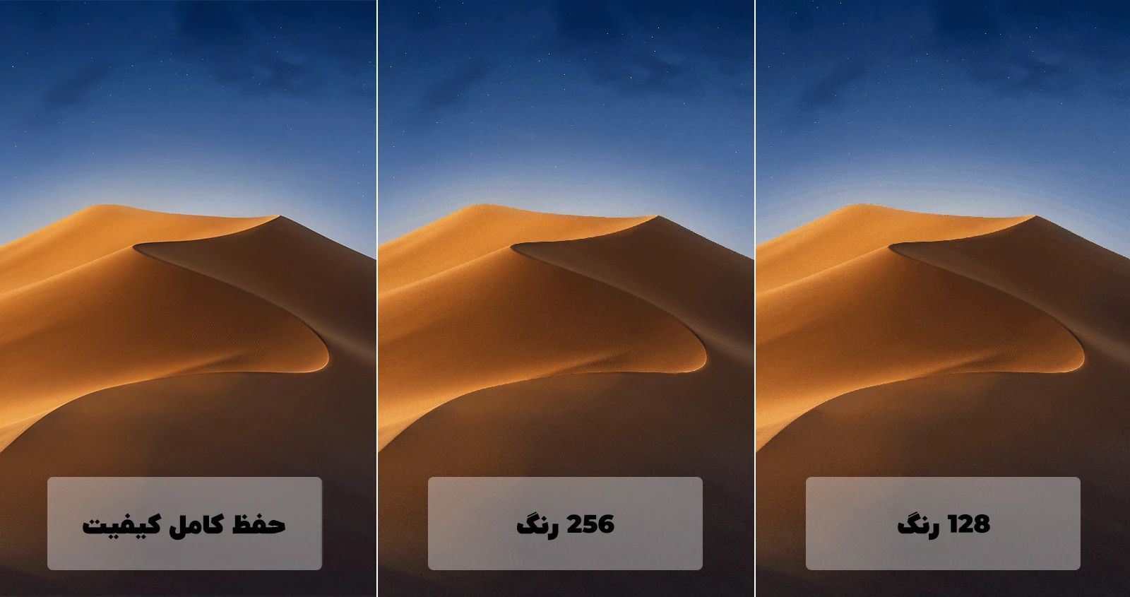 انواع پی ان جی